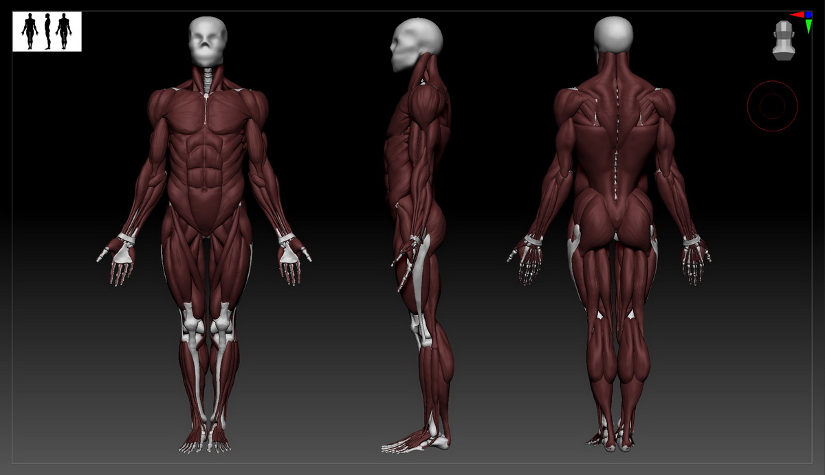 [Tomas_Sackmann系列-国语]写实角色系列第一部：逼真的3D角色2022[重制]