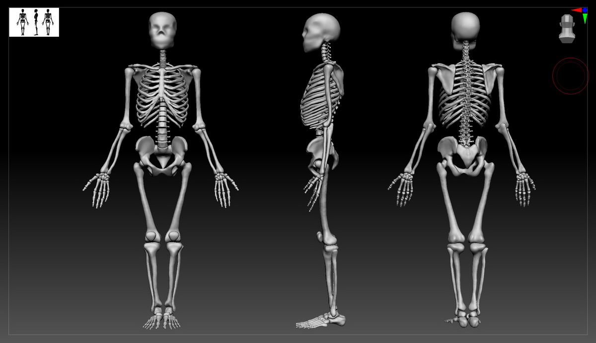 [Tomas_Sackmann系列-国语]写实角色系列第一部：逼真的3D角色2022[重制]