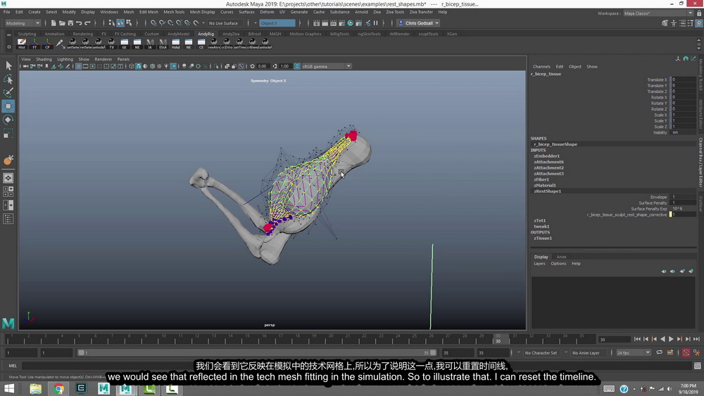 [国语]maya2019肌肉插件Ziva_VFX系统教程