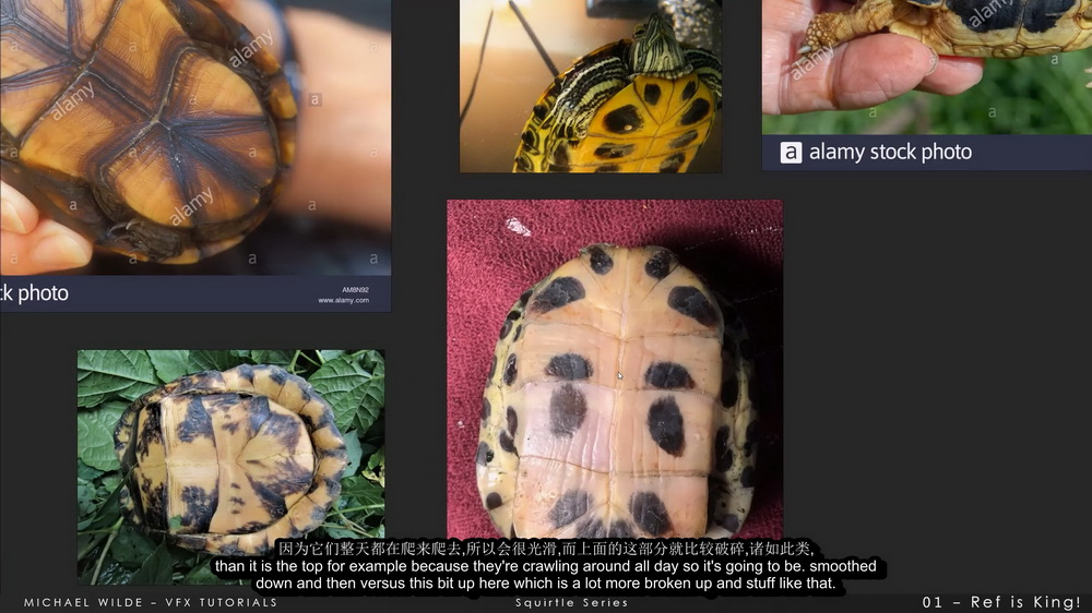 [Michael Wilde VFX系列-国语]zbrush2020+mari杰尼龟建模和纹理系列