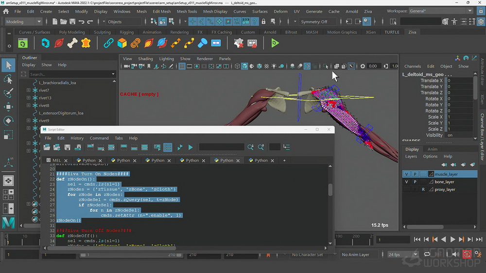 [gnomon学院-M.SHYAM-国语]maya+ZivaVFX肌肉特效系统-全两卷[更新]