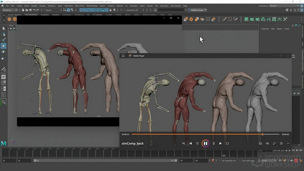 [gnomon学院-M.SHYAM-国语]maya+ZivaVFX肌肉特效系统-全两卷[更新]