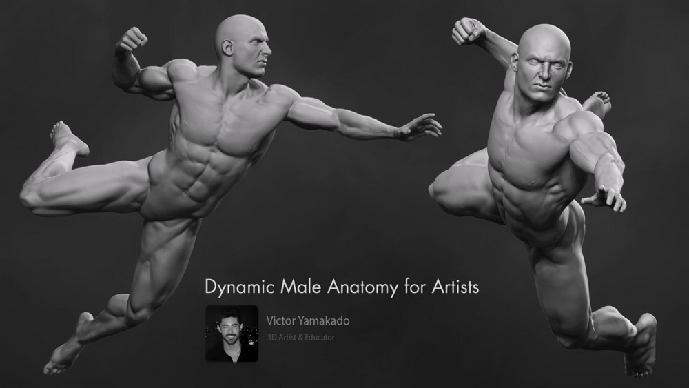 [Nexttut学院-V.Yamakado-国语]Zbrush艺用动态男性解剖学2021