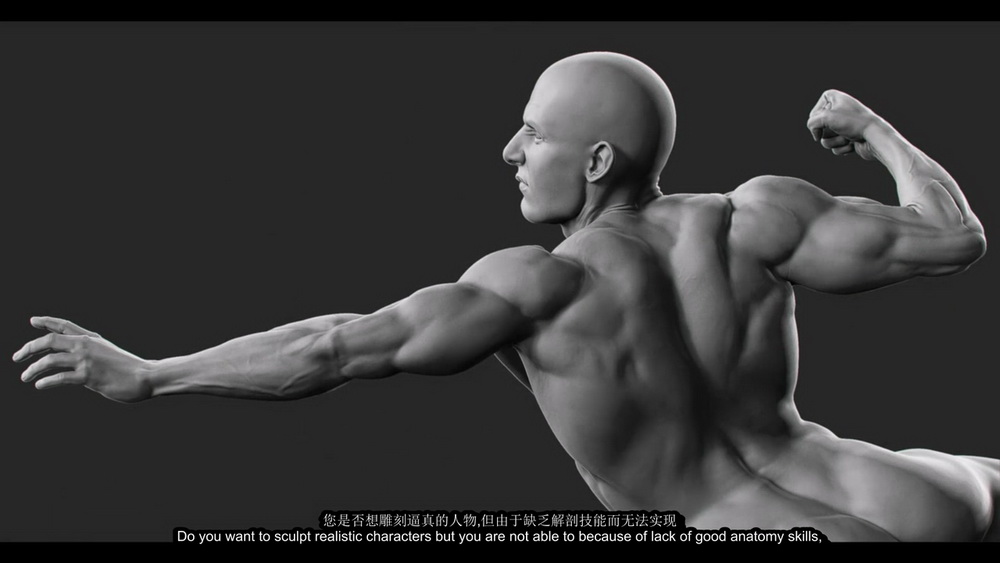 [Nexttut学院-V.Yamakado-国语]Zbrush艺用动态男性解剖学2021