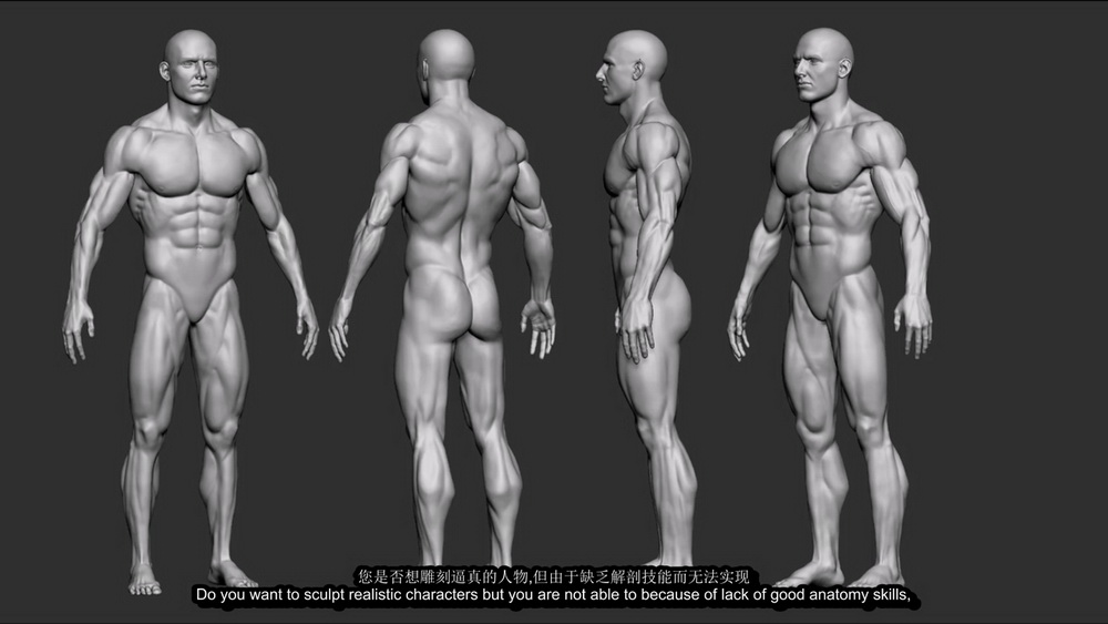 [Nexttut学院-V.Yamakado-国语]Zbrush艺用动态男性解剖学2021