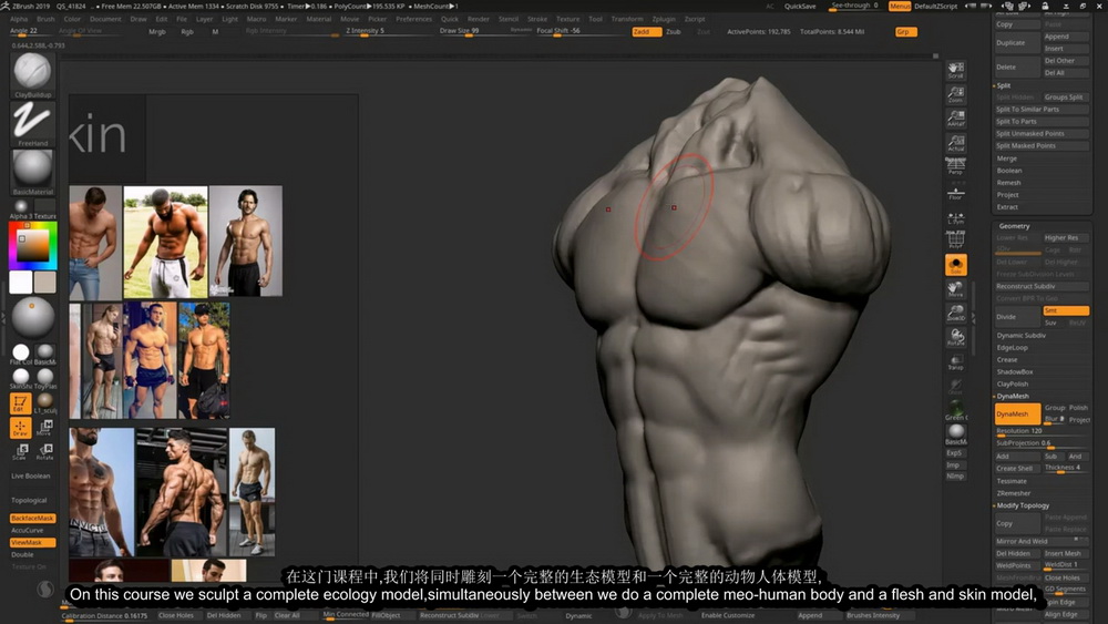 [Nexttut学院-V.Yamakado-国语]Zbrush艺用动态男性解剖学2021