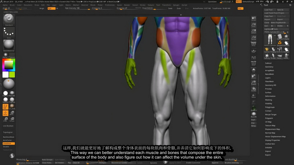 [Nexttut学院-V.Yamakado-国语]Zbrush艺用动态男性解剖学2021