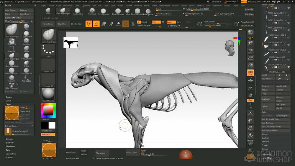 [gnomon学院-A.BASAURI-国语]zbrush2021+maya+mari动物解剖学：对FOSSA进行建模