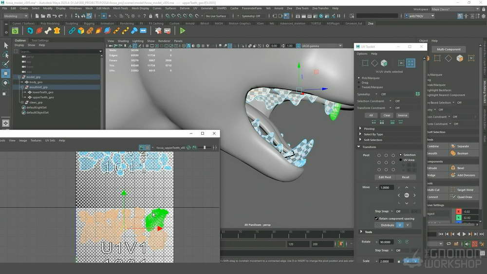 [gnomon学院-A.BASAURI-国语]zbrush2021+maya+mari动物解剖学：对FOSSA进行建模