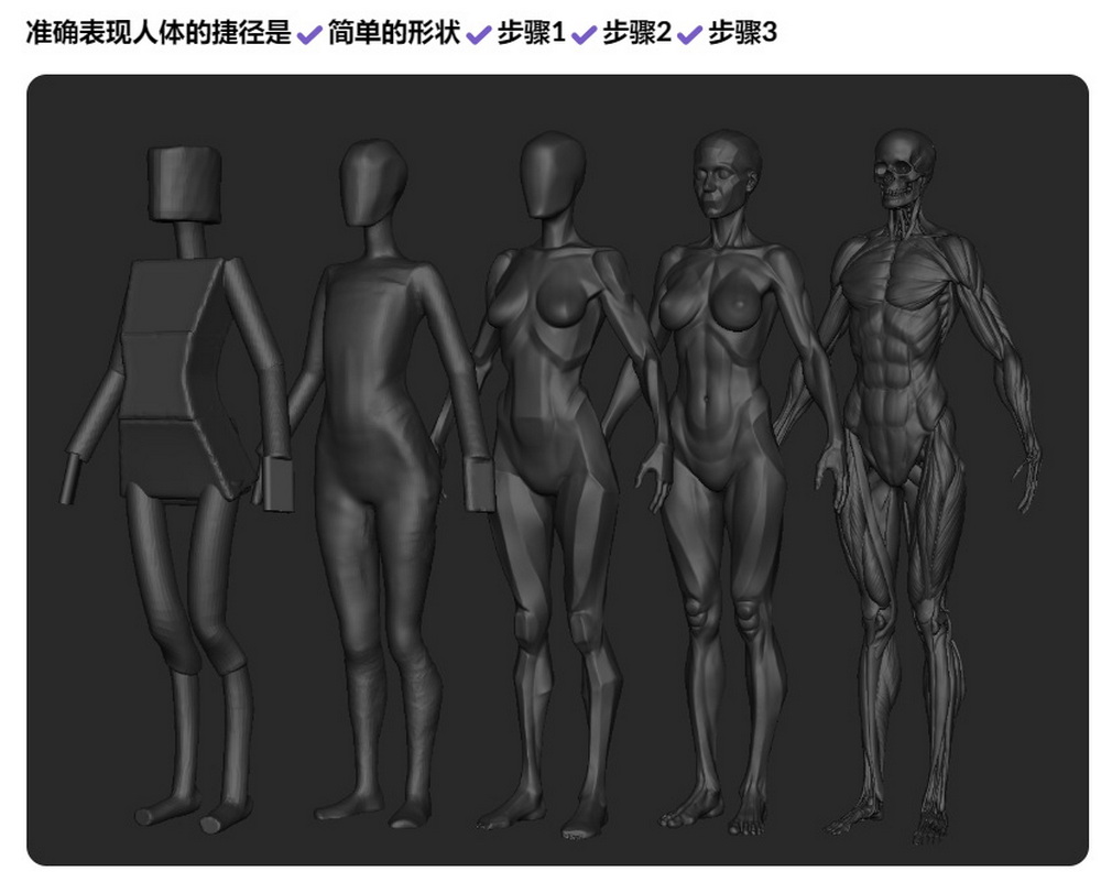 [cgbump学院-国语]Zbrush女性高级解剖学