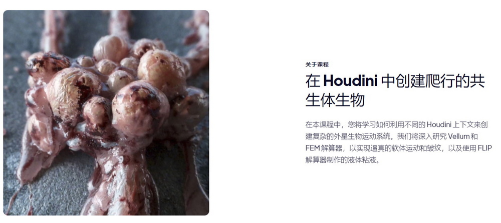 [motion designers学院-国语]houdini19.5创建爬行的共生体生物